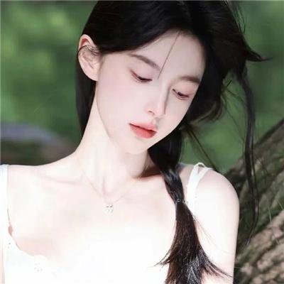 美国派:高潮再起